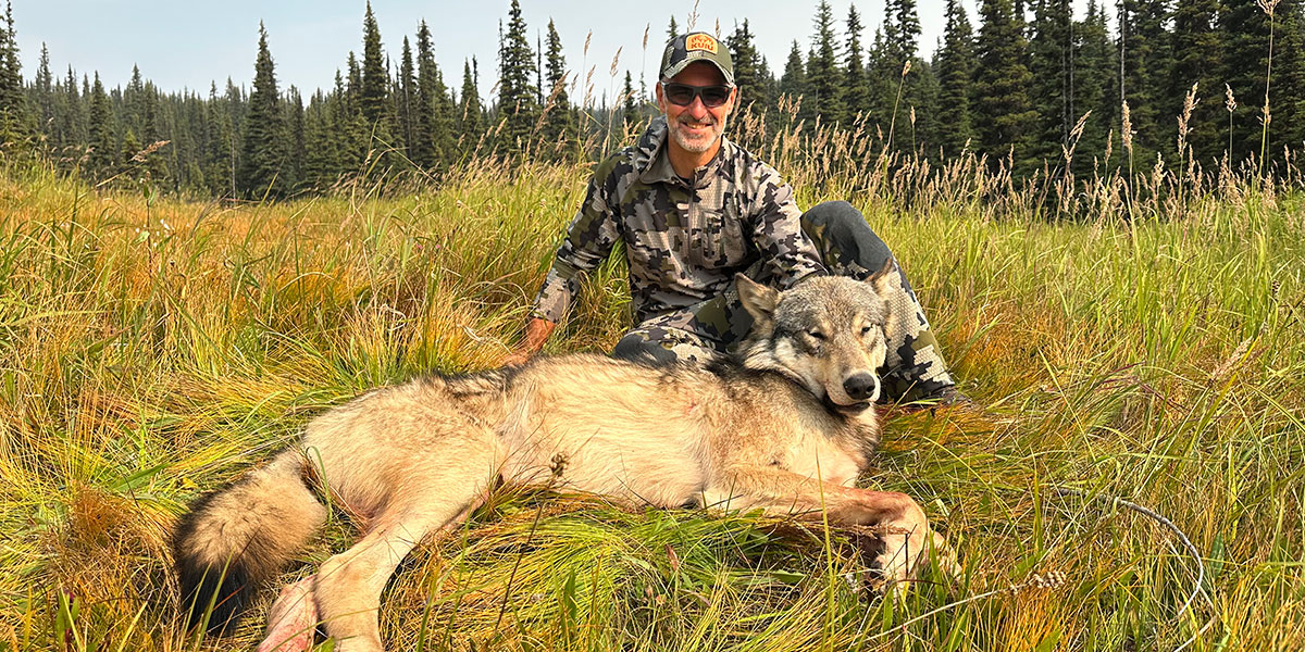 Winter Wolf Hunting