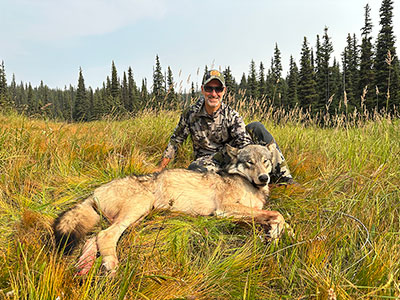 Winter Wolf Hunting