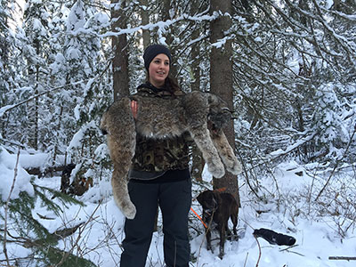 Lynx Hunting in BC