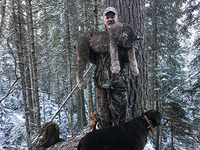 Canada Lynx Hunt
