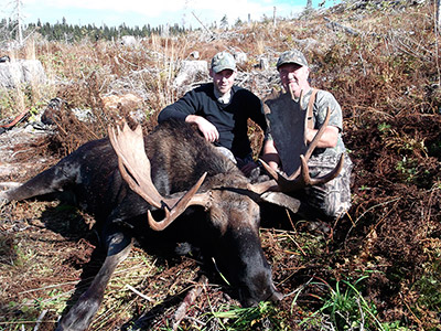 Moose Hunt in BC